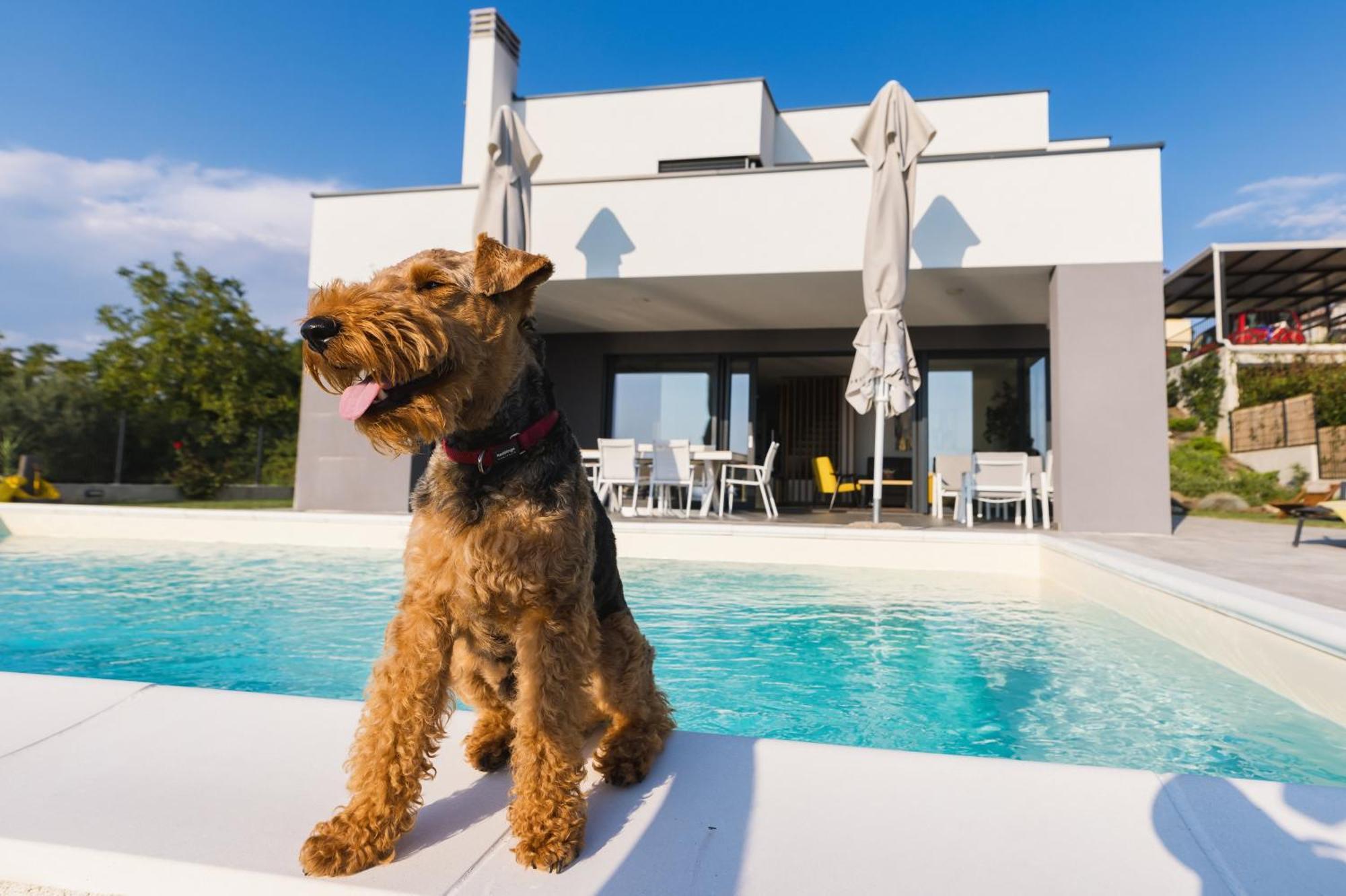Villa Boiky - Private Pool And Amazing Sea View, Istria Materada Eksteriør billede